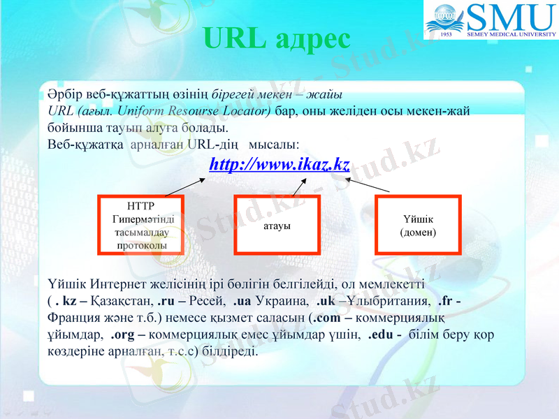 Slide 10