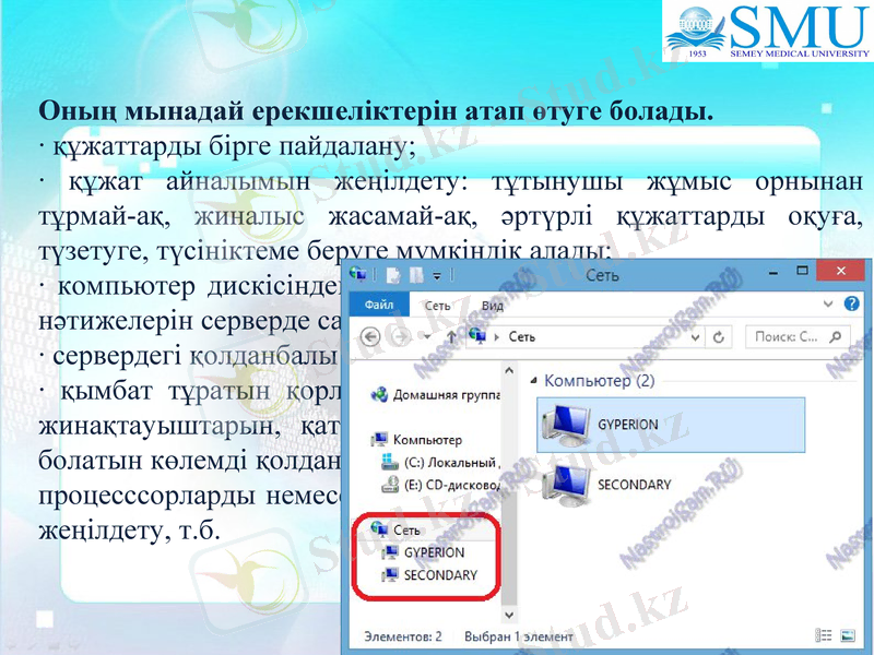 Slide 5