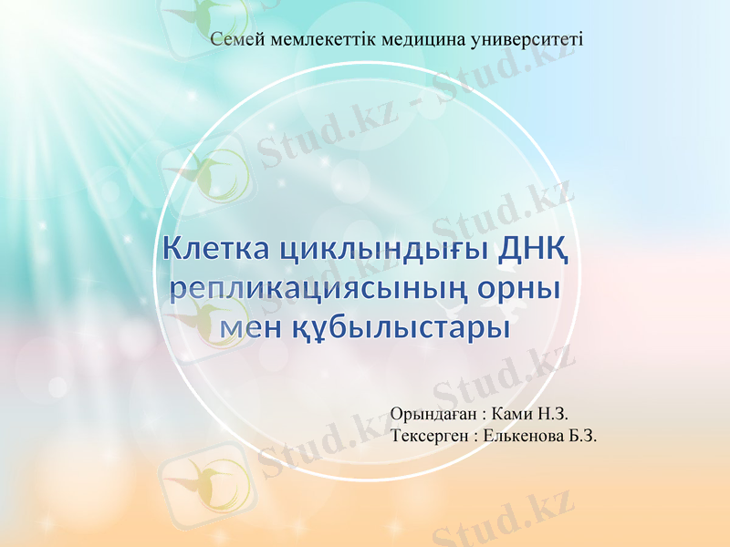 Slide 1
