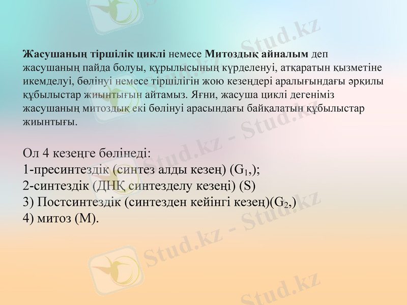 Slide 2