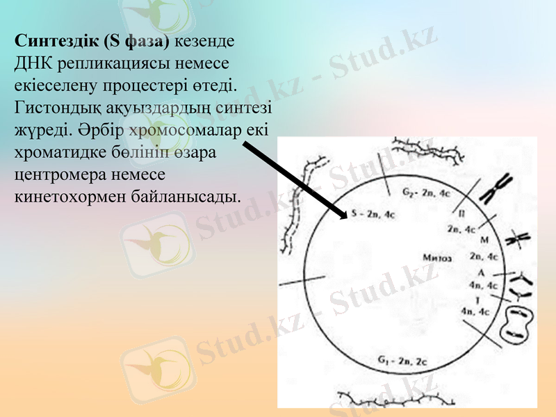 Slide 5