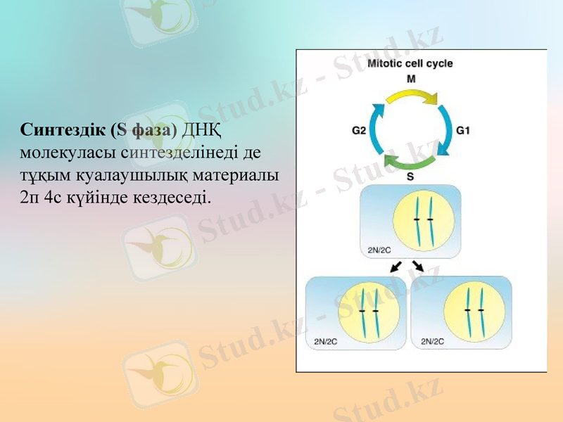Slide 6