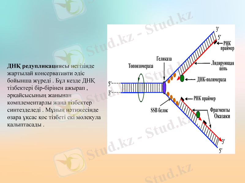 Slide 7