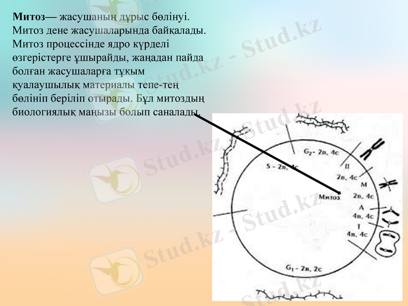 Slide 9