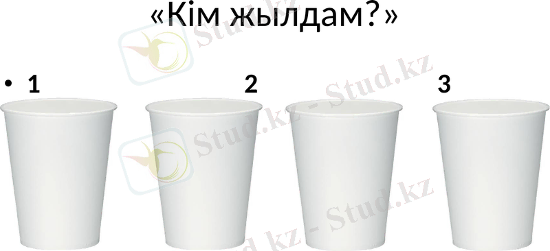 Slide 5