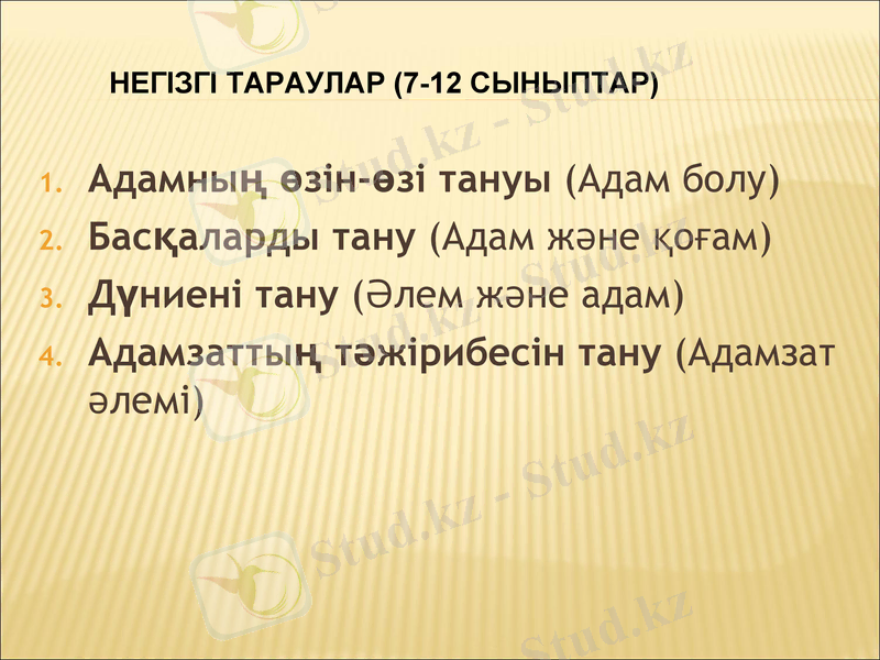 Slide 11