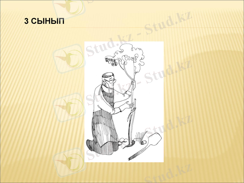 Slide 20