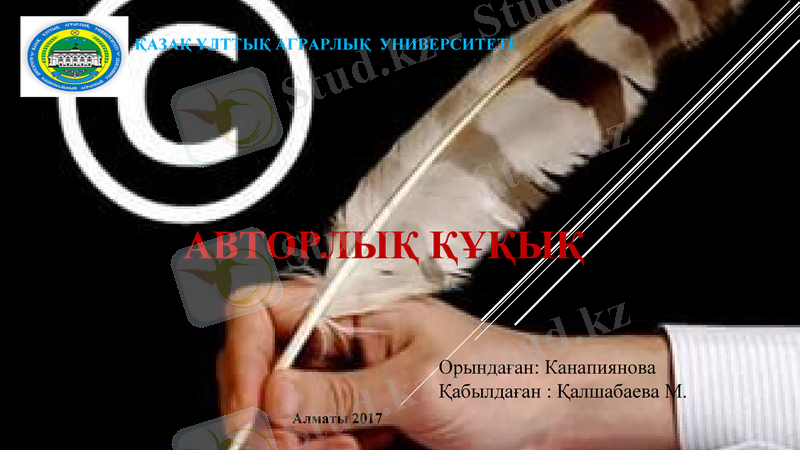 Slide 1