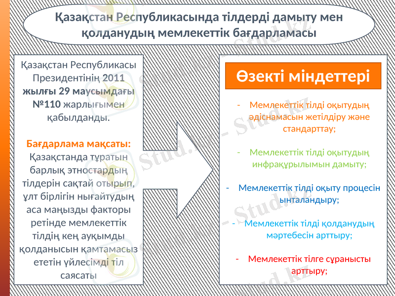 Slide 6