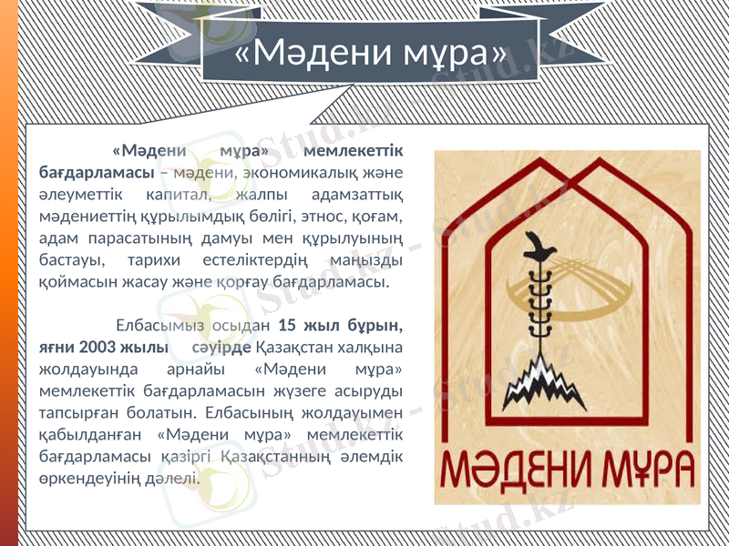 Slide 8