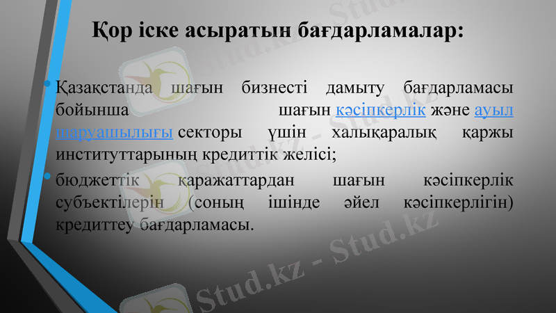 Slide 8