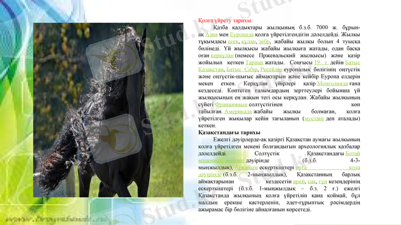 Slide 11