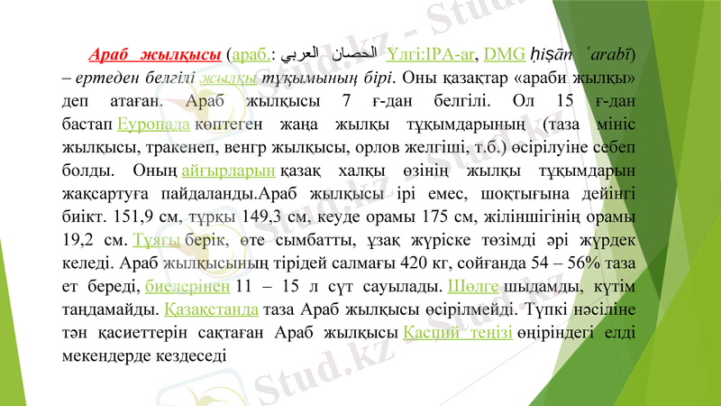 Slide 19