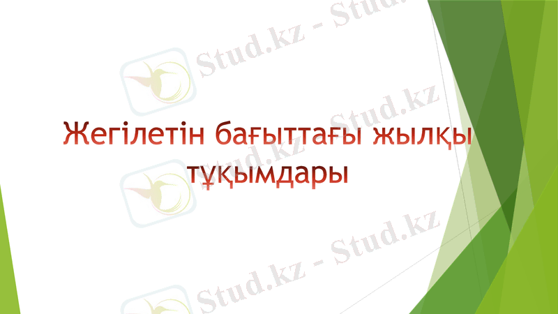Slide 23