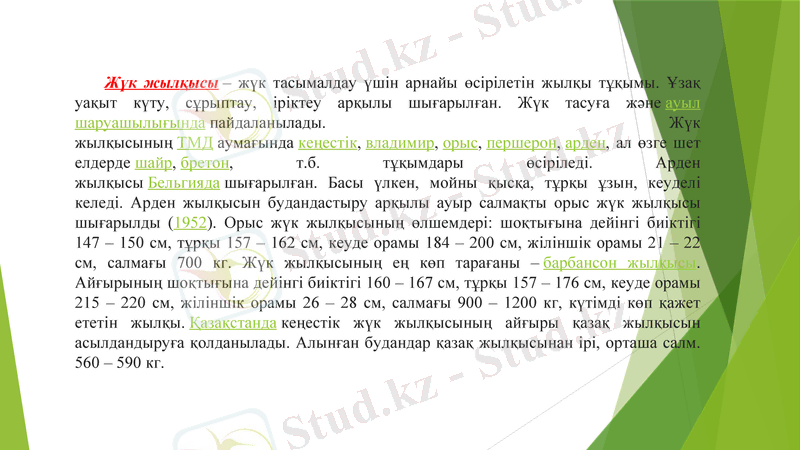 Slide 24