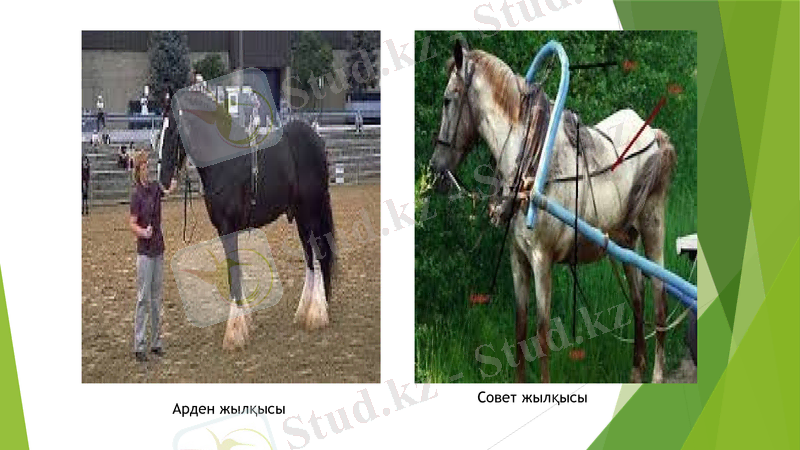 Slide 25