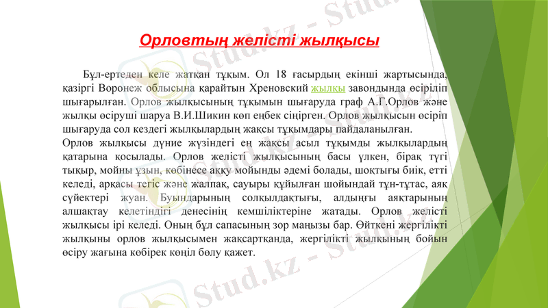 Slide 26
