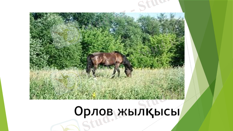 Slide 27