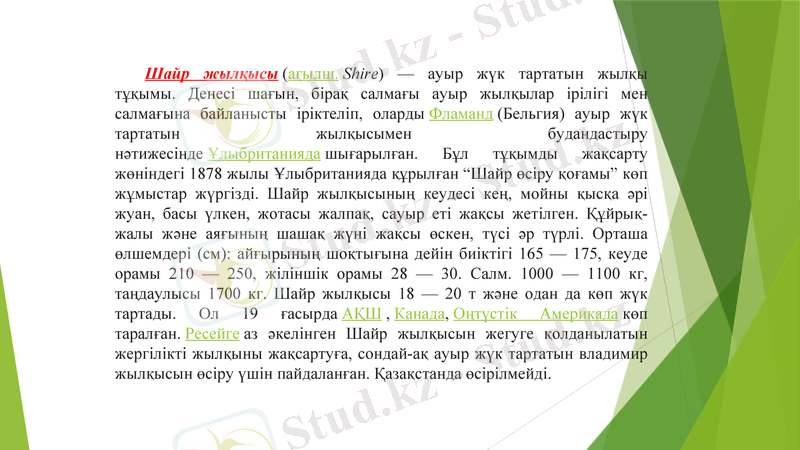 Slide 28