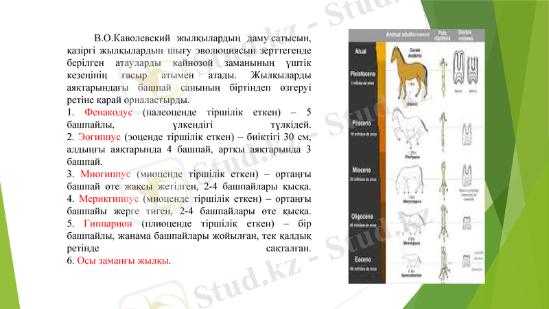 Slide 7