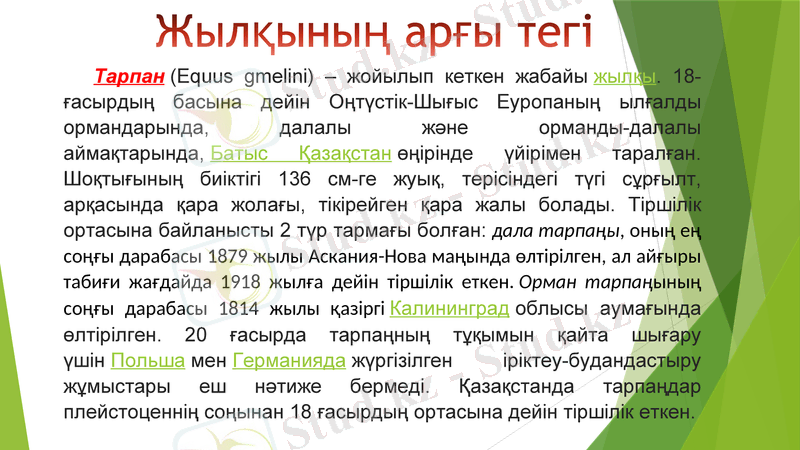 Slide 8