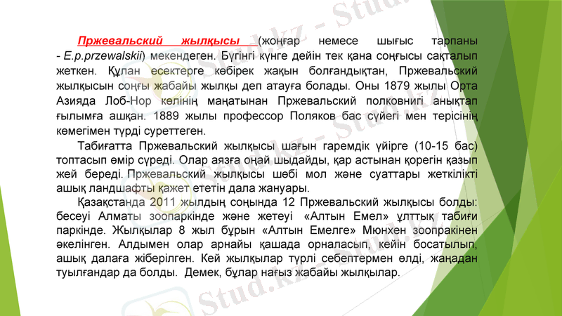 Slide 9