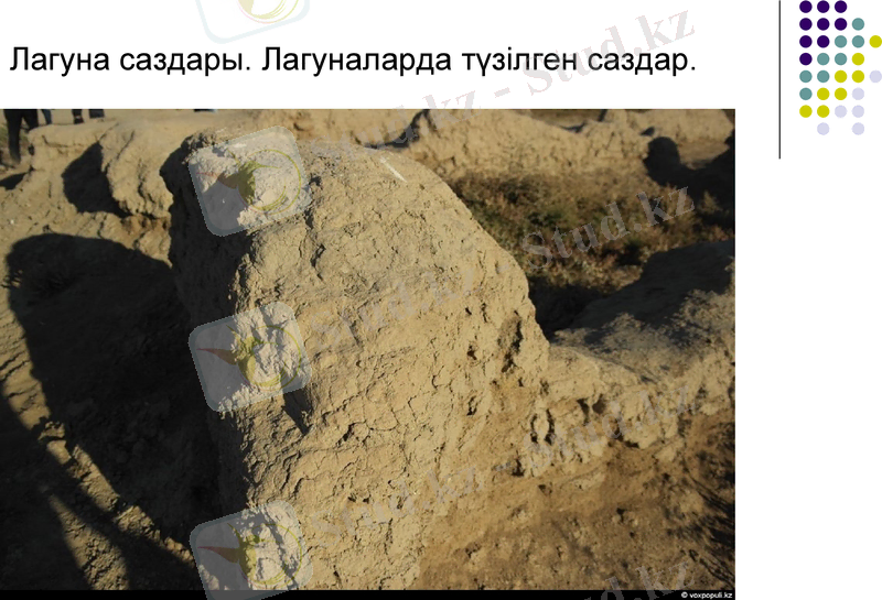 Slide 8