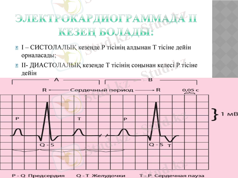 Slide 10