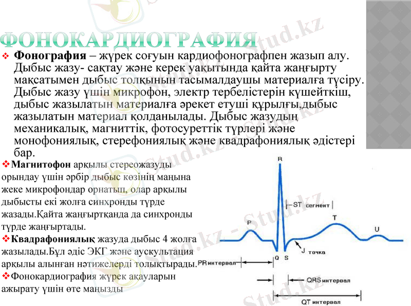 Slide 11