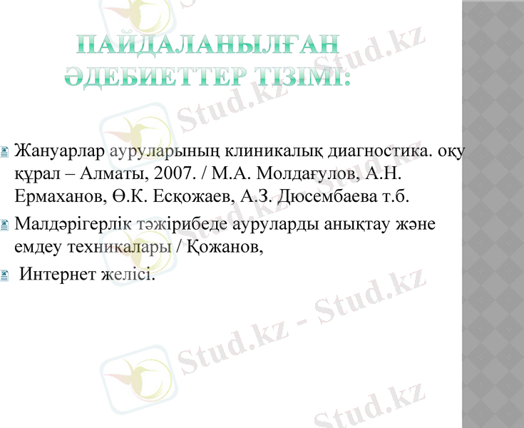 Slide 13