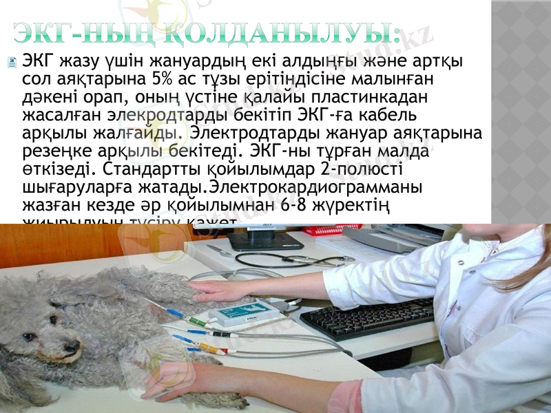 Slide 7