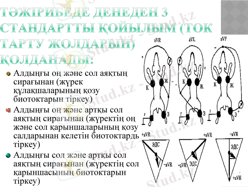Slide 8