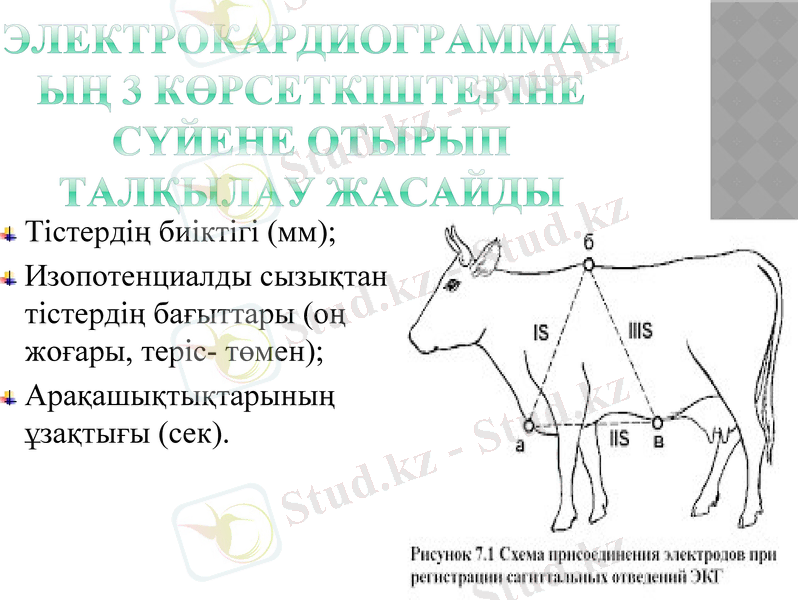 Slide 9