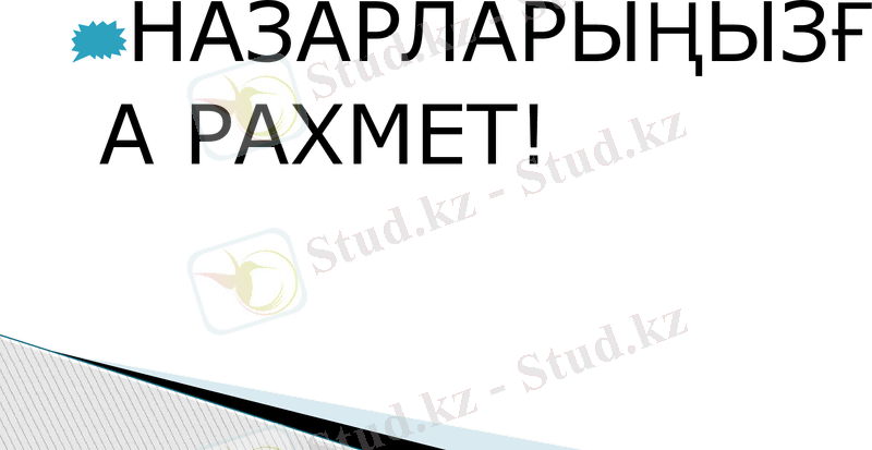 Slide 10