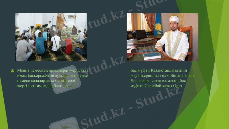 Slide 5