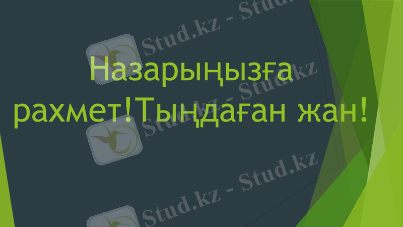 Slide 8
