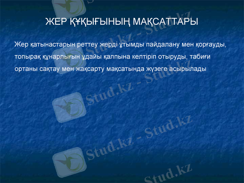 Slide 10