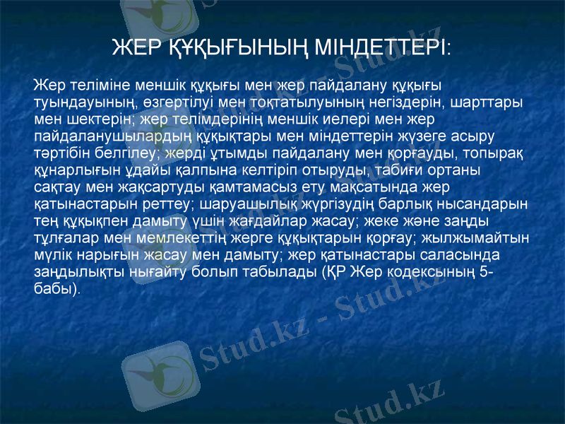 Slide 11