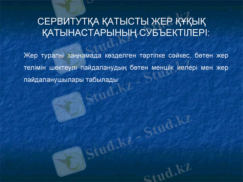 Slide 24