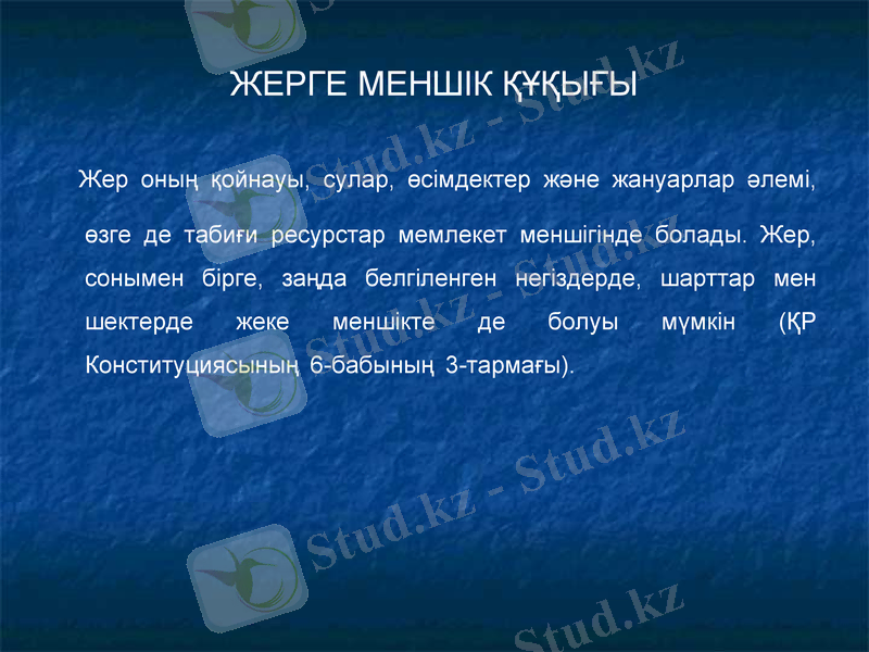 Slide 37
