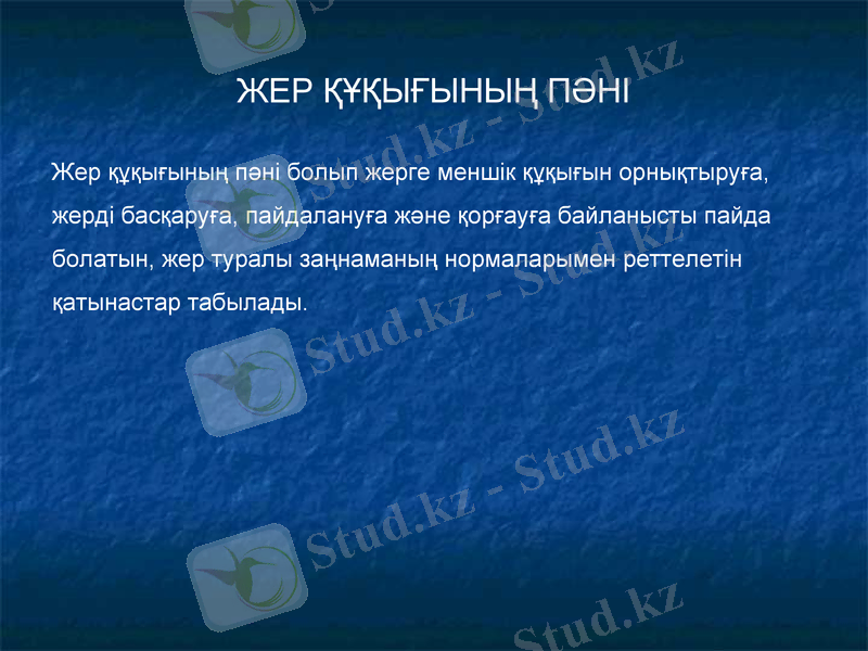 Slide 7