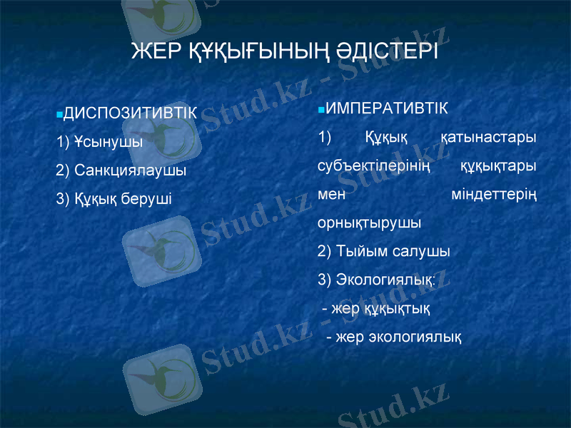Slide 8