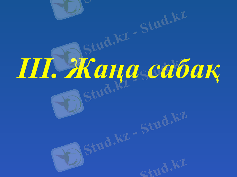 Slide 10