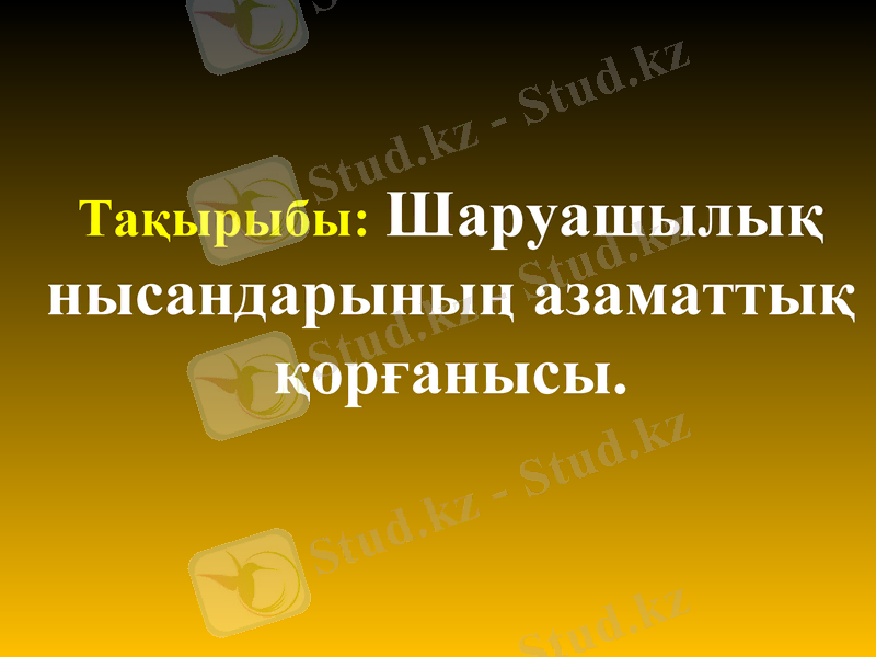 Slide 11