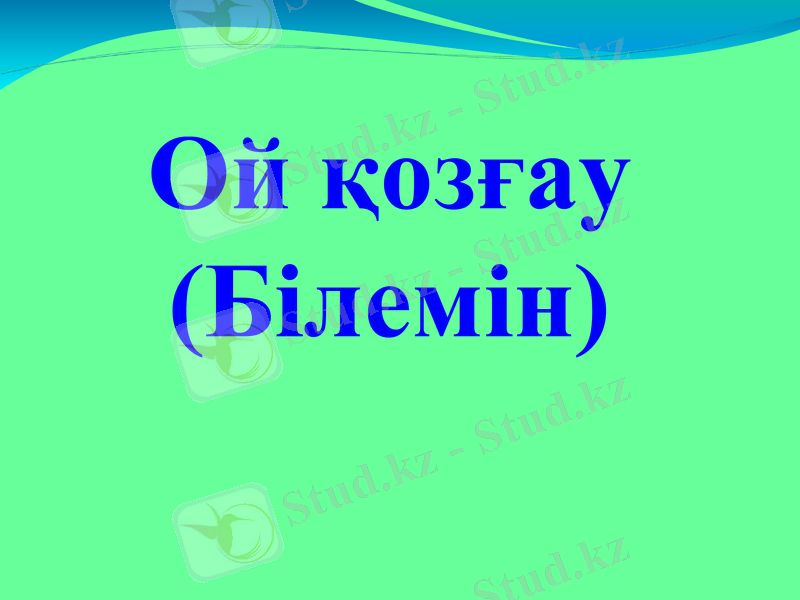 Slide 12