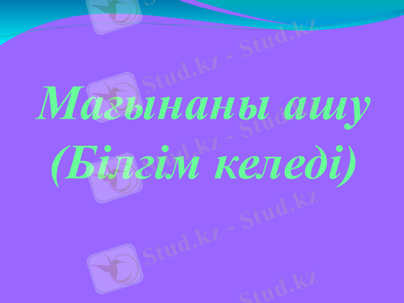Slide 13