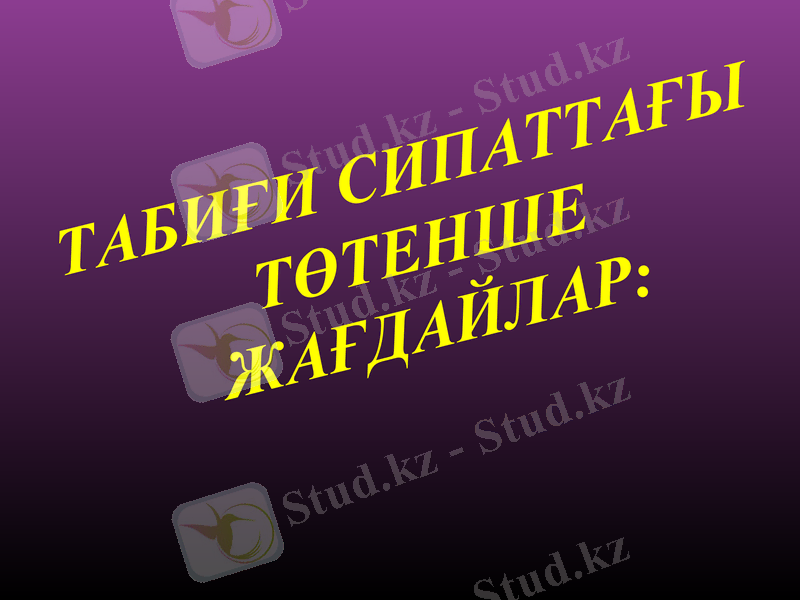 Slide 22