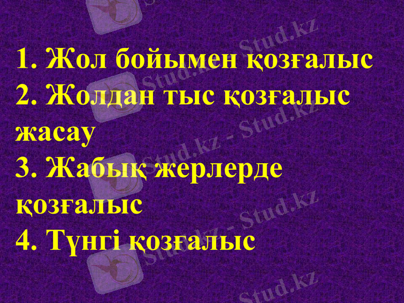 Slide 8
