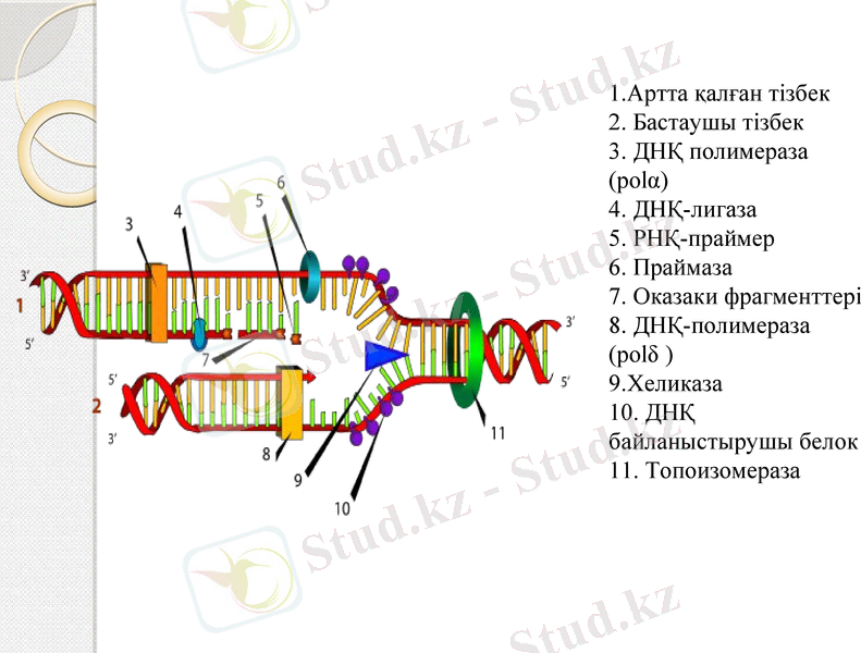 Slide 10