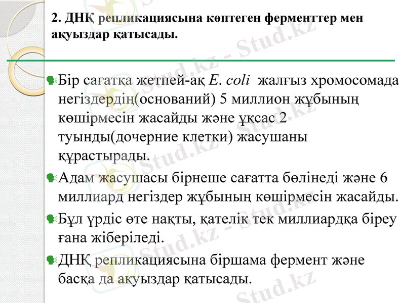Slide 6